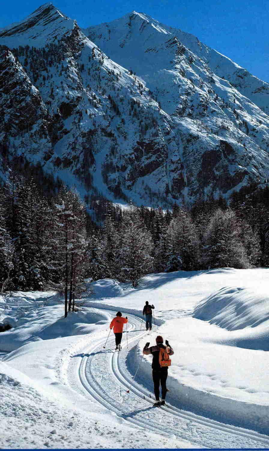 Hotel Tavernier Courmayeur Exterior foto